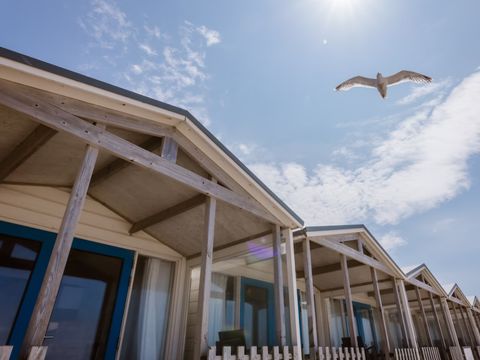Landal Strandhuisjes Wijk aan Zee - Beverwijk - Afbeelding N°2