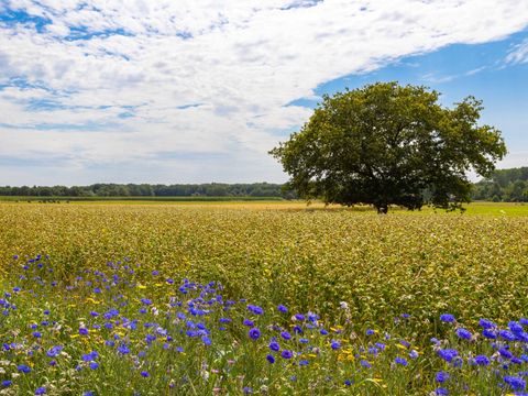 Camping de Kleine Wereld - Ommen