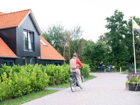 Skylgerduin - Terschelling