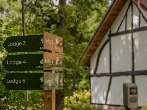 Woodz Lodges  - Belgisch Limburg - Afbeelding N°12