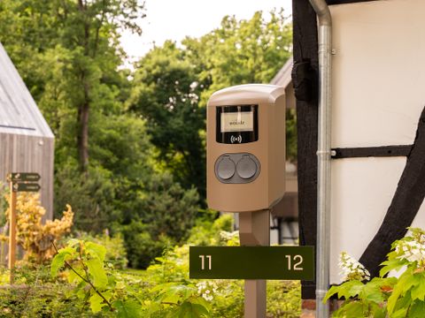Woodz Lodges  - Belgisch Limburg - Afbeelding N°11