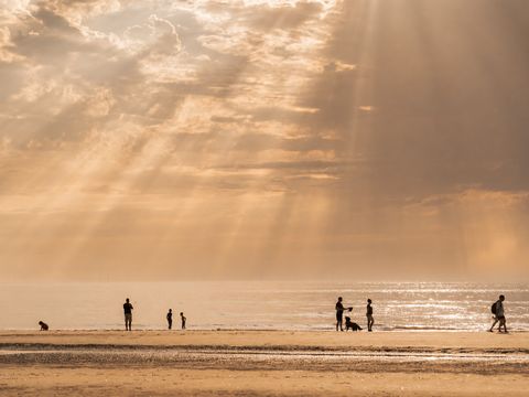 MarinaPark Residentie Bloemendaal - Bloemendaal - Afbeelding N°2
