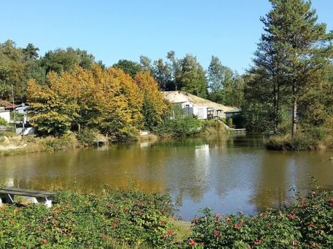 Wilsumer Berge - Nedersaksen - Afbeelding N°28