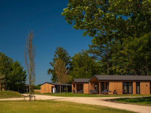Wilsumer Berge - Nedersaksen - Afbeelding N°15