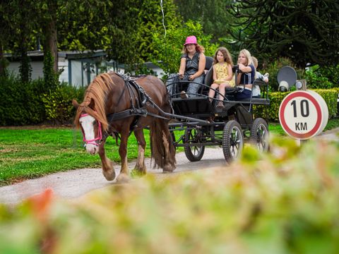 Arden Parks Tulderheyde - Antwerpen - Afbeelding N°22