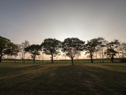 Arden Parks Tulderheyde - Antwerpen - Afbeelding N°12
