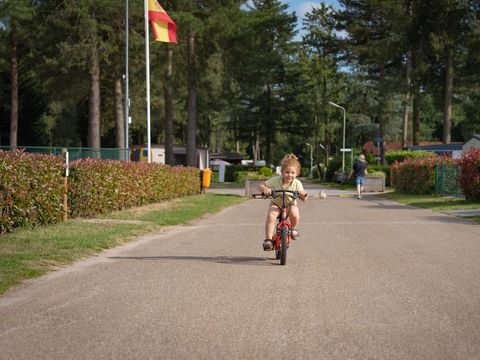 Arden Parks Tulderheyde - Antwerpen - Afbeelding N°4