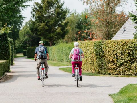 Drentse Vennen - Camping Noordenveld - Afbeelding N°4