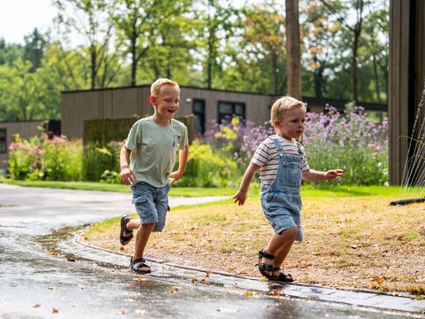 TopParken Resort de Brabantse Kempen - Reusel-De-Mierden - Afbeelding N°18