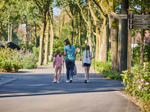 TopParken Resort de Brabantse Kempen - Reusel-De-Mierden - Afbeelding N°26