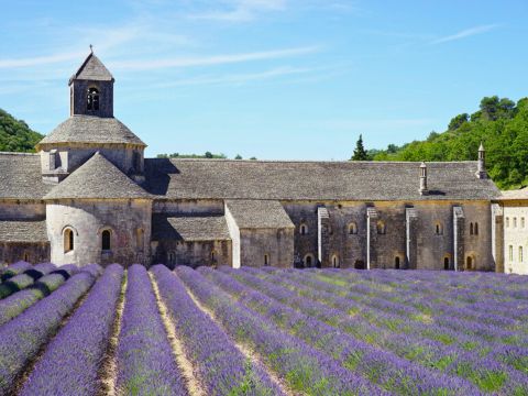 Camping Le Luberon | Pausado - Vaucluse