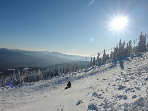 Landal Arber - Camping Beieren - Afbeelding N°3