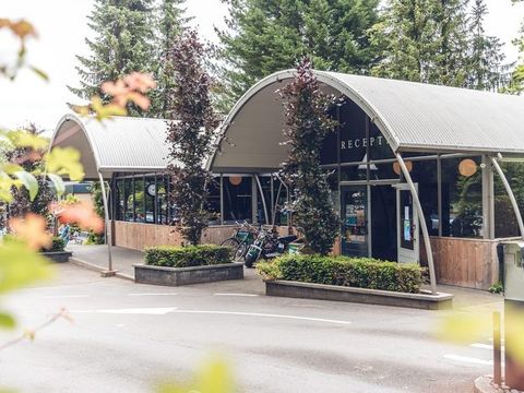 Veluwepark de Bosgraaf - Apeldoorn - Afbeelding N°4