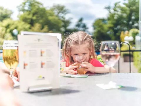 Veluwepark de Bosgraaf - Apeldoorn