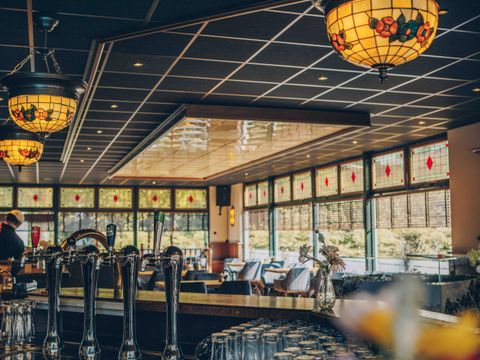 Veluwepark de Bosgraaf - Camping Apeldoorn - Afbeelding N°5