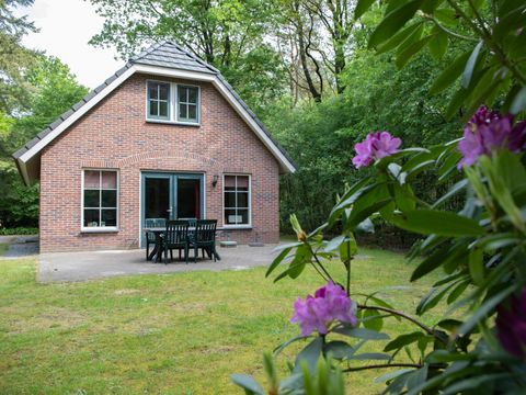 Landgoed Het Grote Zand - Midden-Drenthe - Afbeelding N°0
