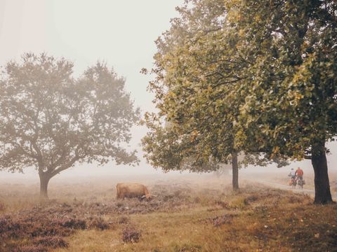 Landgoed Het Grote Zand - Midden-Drenthe - Afbeelding N°19