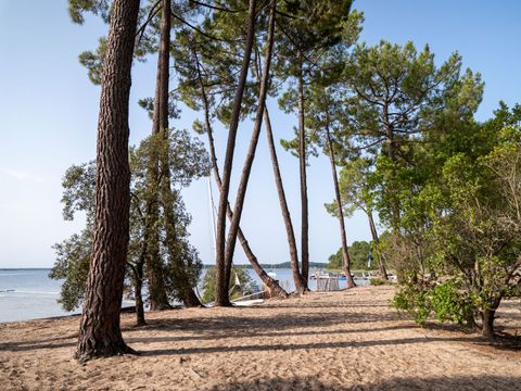  Camping Le Tedey - Gironde - Afbeelding N°3