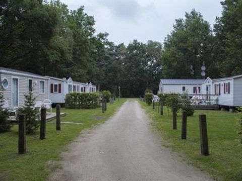 Floreal Holidays Camping Het Veen - West-Vlaanderen - Afbeelding N°3