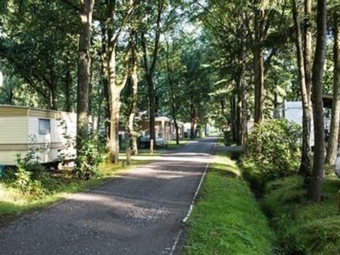 Floreal Holidays Camping Het Veen - West-Vlaanderen - Afbeelding N°2