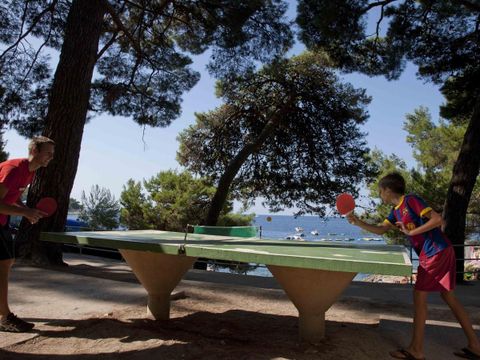 Camping Cikat - Istrië