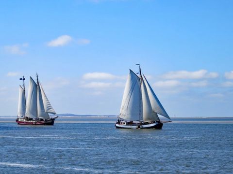 Dormio Water Resort Medemblik - Bergen - Afbeelding N°19