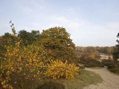Dormio Resort De Hondsrug - Aa en Hunze - Afbeelding N°13