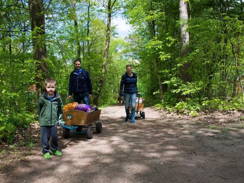 Vakantiepark De Wiltzangh - De Wolden - Afbeelding N°17