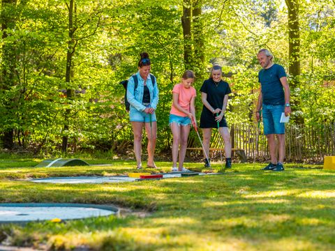 Vakantiepark De Wiltzangh - Camping De Wolden - Afbeelding N°2