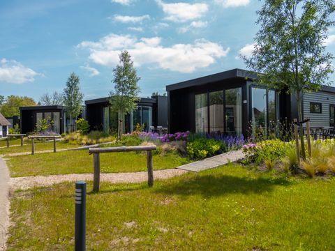 Vakantiepark De Wiedense Meren - Steenwijkerland - Afbeelding N°9