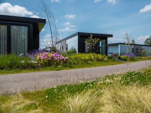 Vakantiepark De Wiedense Meren - Steenwijkerland - Afbeelding N°8