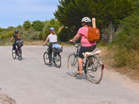 Nature et vacances Camping Cristal D'Opale - Pas-de-Calais