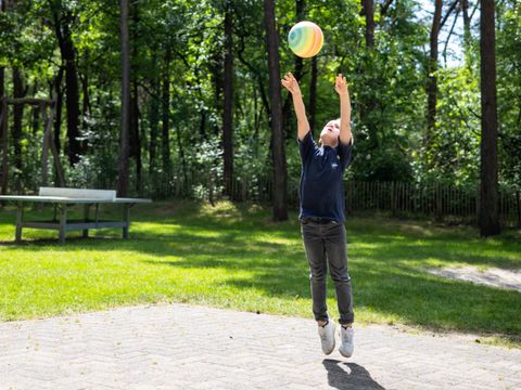 Camping Roland - Bergen - Afbeelding N°24