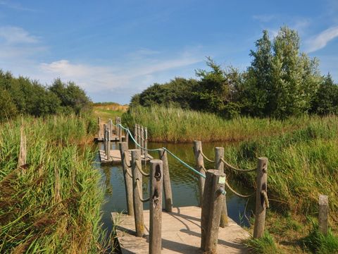 Vakantiepark de Boomgaard - Veere - Afbeelding N°46