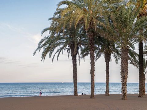 Pierre & Vacances Hotel Costa Málaga (Adults only) - Málaga - Afbeelding N°10