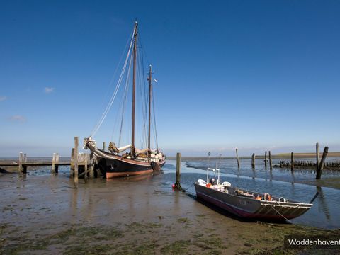 Villapark Residentie Texel - Texel - Afbeelding N°34