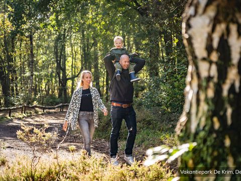 Villapark Residentie Texel - Texel - Afbeelding N°35