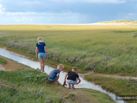 Villapark Residentie Texel - Texel - Afbeelding N°36