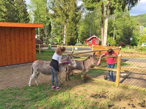 Bungalowpark Felsenhof - Camping Rijnland-Palts