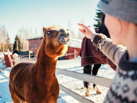 Valkeisen Loma - Central Finland - Afbeelding N°4