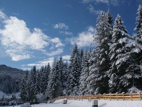 Camping Leutasch - Tirol - Afbeelding N°20