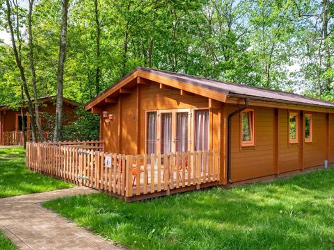 Familie Resort de Tovertuin - Woensdrecht - Afbeelding N°0