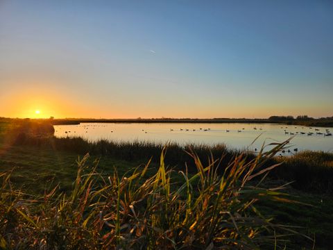 Vakantiepark Ljeppershiem - Noardeast-fryslân - Afbeelding N°18