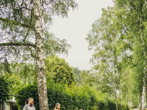 Campingpark Bad Liebenzell - Baden-Württemberg - Afbeelding N°17
