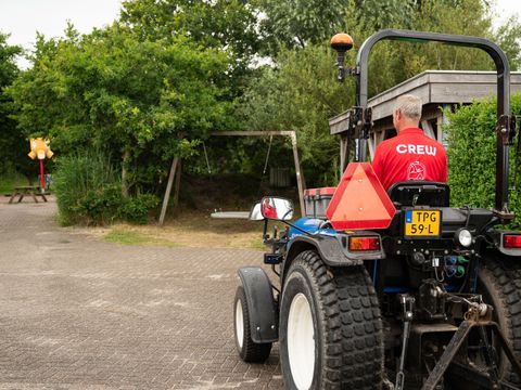 Duincamping de Lepelaar - Schagen - Afbeelding N°4