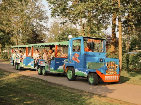 Recreatiepark de Achterste Hoef - Bladel - Afbeelding N°3