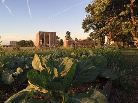  Pean-Buiten Weidum - Leeuwarden - Afbeelding N°0