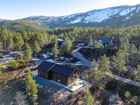 Fjord Rentals - Telemark - Afbeelding N°25