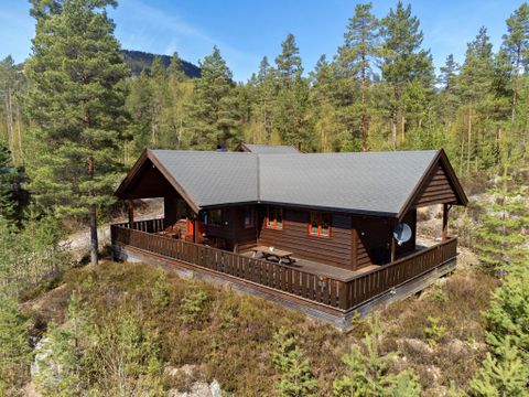 Fjord Rentals - Telemark - Afbeelding N°8