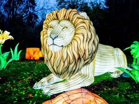 Serengeti Park - Nedersaksen - Afbeelding N°19